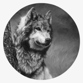 Gray Wolf Black And White Lucie Bilodeau - Gray Wolf - Black And White, HD Png Download, Transparent PNG