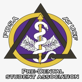 Pre-dental Student Association - Pdsa Ucf, HD Png Download, Transparent PNG