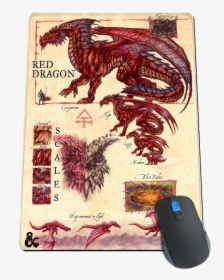 Red Dragon A Practical Guide To Dragons, HD Png Download, Transparent PNG