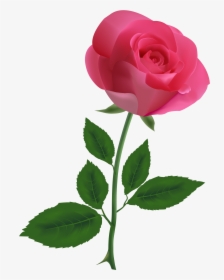 Pink Rose Pngpng Image - Pink Rose Clipart, Transparent Png, Transparent PNG