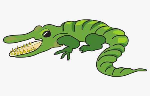 Open, Mouth, Teeth, Alligator, Segments - Caiman Animados, HD Png Download, Transparent PNG