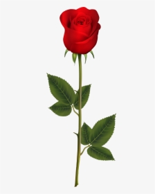 Red With Stem Transparent - Red Rose With Stem, HD Png Download, Transparent PNG