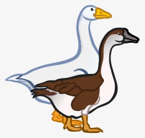 Clipart - Singular And Plural Duck, HD Png Download, Transparent PNG