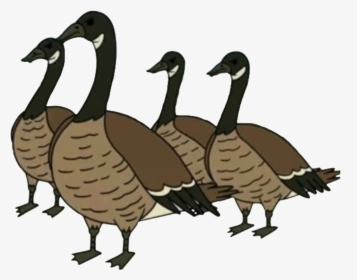 Canada-goose - Regular Show Geese Png, Transparent Png, Transparent PNG