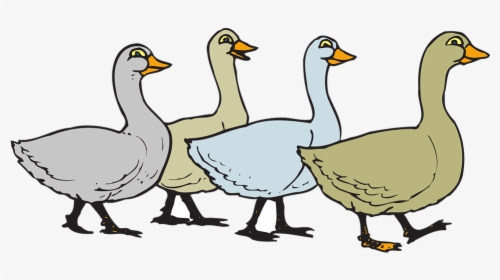 Goose Transparent Cartoon - Gaggle Of Geese Clipart, HD Png Download, Transparent PNG
