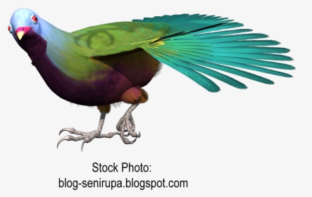 Goose Macaw Bird Gulls Beak Free Png Hq Clipart - Parakeet, Transparent Png, Transparent PNG