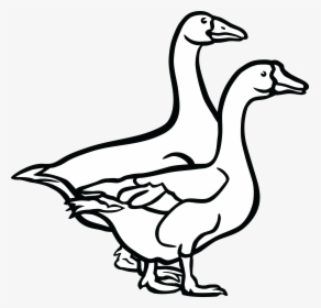 Jpg, Png, Eps, Ai, Svg, Cdr - Goose Black And White, Transparent Png, Transparent PNG