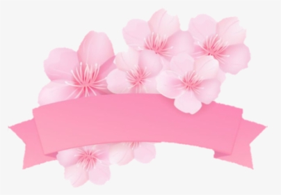 #sakura #kirschblüte #banner #pink #rosa - Sakura Banner Png, Transparent Png, Transparent PNG