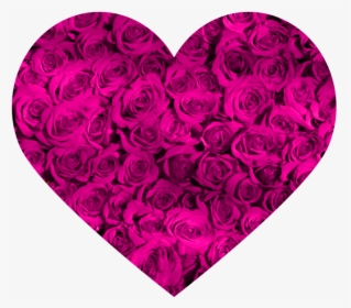 Roses Wallpaper Iphone X, HD Png Download, Transparent PNG
