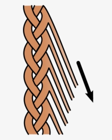 Feathered Braid Graphic, HD Png Download, Transparent PNG