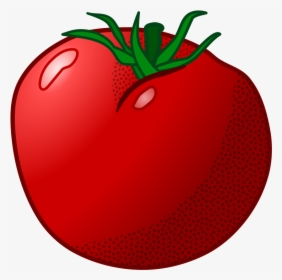 Tomato - Coloured - Tomato Clip Art, HD Png Download, Transparent PNG