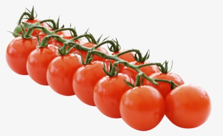 Vine Tomatoes Png, Transparent Png, Transparent PNG