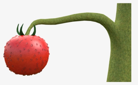 Tomato Plant Wip - Strawberry, HD Png Download, Transparent PNG
