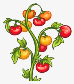 Clip Art Tomato Plant, HD Png Download, Transparent PNG
