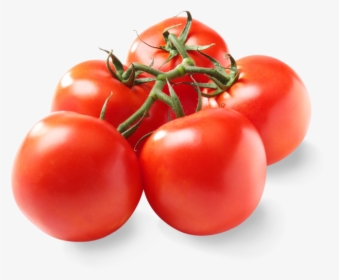 Pure Flavor Bulk Tomatoes On The Vine - Plum Tomato, HD Png Download, Transparent PNG