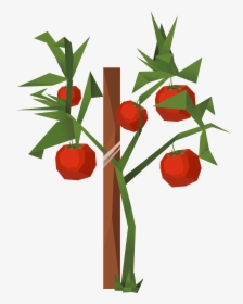 Tomato Clip Art, HD Png Download, Transparent PNG