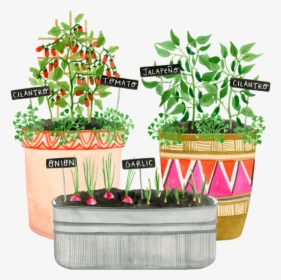 Transparent Onion Plant Png - Flowerpot, Png Download, Transparent PNG
