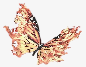 The Flaps Of Flame - Butterfly With Fire Wings, HD Png Download, Transparent PNG