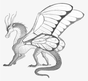 Drawing Of Fire - Wings Of Fire Silkwings, HD Png Download, Transparent PNG