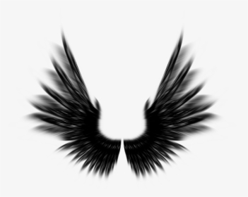 Feather - Black Angel Wings Photoshop, HD Png Download, Transparent PNG