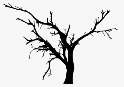 Simple Bare Tree Png - Tree Silhouette Vector Png, Transparent Png, Transparent PNG