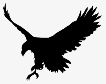Animal, Bird, Eagle, Favorites, Silhouette - Eagle In Photo Editing, HD Png Download, Transparent PNG