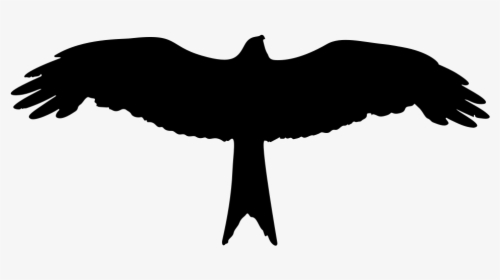 Eagle Silhouette - Eagle Silhouette Clip Art, HD Png Download, Transparent PNG