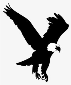 Bald Eagle Clip Art - Eagle Pic For Picsart, HD Png Download, Transparent PNG
