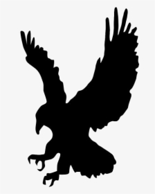 Flying Harpy Eagle Png Image - Silhouette Eagle Clipart, Transparent Png, Transparent PNG