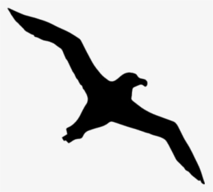 Albatross Silhouette, HD Png Download, Transparent PNG