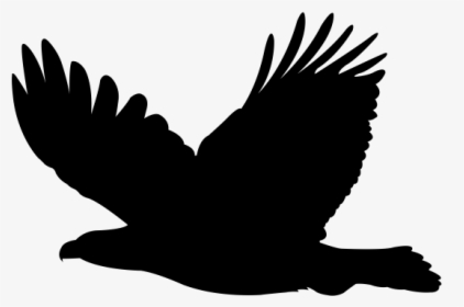 Class Lazyload Lazyload Mirage Cloudzoom Featured Image - Icon Eagle, HD Png Download, Transparent PNG