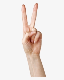Peace Fingers Png - Peace Sign Hand Transparent, Png Download, Transparent PNG