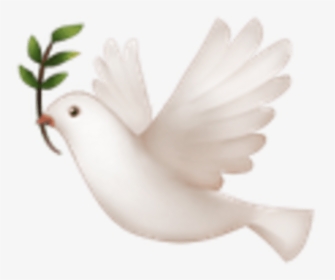Bird Emoji On Iphone, HD Png Download, Transparent PNG