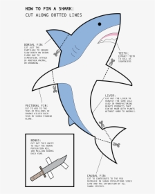 Great White Shark , Png Download - Great White Shark, Transparent Png, Transparent PNG