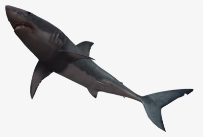 Bull Shark Great White Shark Clip Art - Shark Jumping No Background, HD Png Download, Transparent PNG