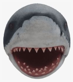 Shark Great White Head - Shark Head Png, Transparent Png, Transparent PNG