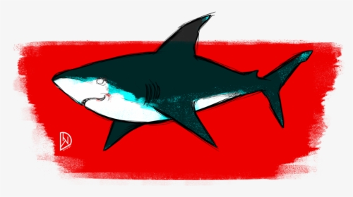 Great White Shark Clipart , Png Download - Great White Shark, Transparent Png, Transparent PNG