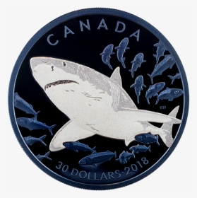 Canadian Mint Shark Coins, HD Png Download, Transparent PNG