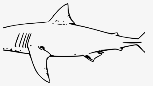 Great White Shark Clipart - Great White Shark Clip Art, HD Png Download, Transparent PNG