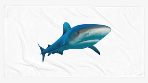 Class Lazyload Lazyload Mirage Cloudzoom Featured Image - Great White Shark, HD Png Download, Transparent PNG