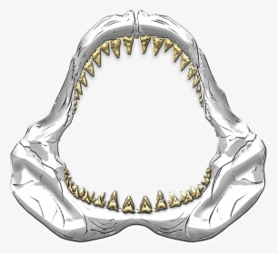 Great White Shark Jaws Drawing, HD Png Download, Transparent PNG