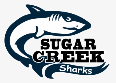 Transparent School Supply List Clipart - Tiger Shark, HD Png Download, Transparent PNG