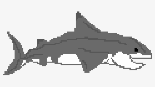 Transparent Great White Png - American Crocodile, Png Download, Transparent PNG