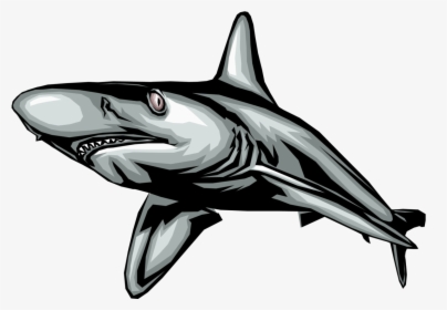 Vector Illustration Of Marine Predator Great White - Movement Of Some Animals, HD Png Download, Transparent PNG