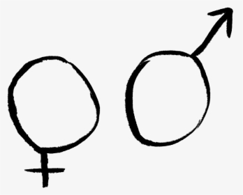 Male Female Line Art-, HD Png Download, Transparent PNG