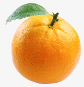 Orange In White Background, HD Png Download, Transparent PNG