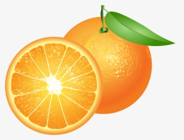 Oranges Png Clip Art, Transparent Png, Transparent PNG
