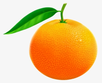Orange Fruit Clipart - Orange Fruits Images Hd, HD Png Download, Transparent PNG