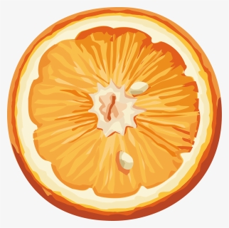 Free Png Download Orange - Апельсин Рисунок На Прозрачном Фоне, Transparent Png, Transparent PNG