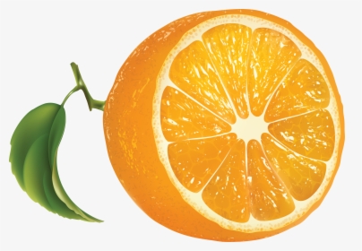Oranges Png Image - Orange Png, Transparent Png, Transparent PNG